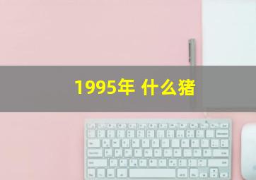 1995年 什么猪